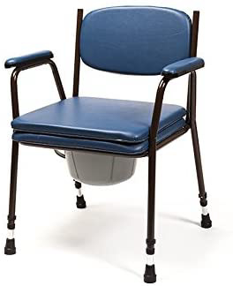 Silla WC con inodoro -