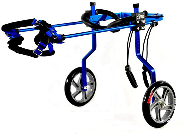 KAJILE Dos Ruedas Azules Ajustables