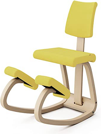Varier Silla ergonómica con Respaldo