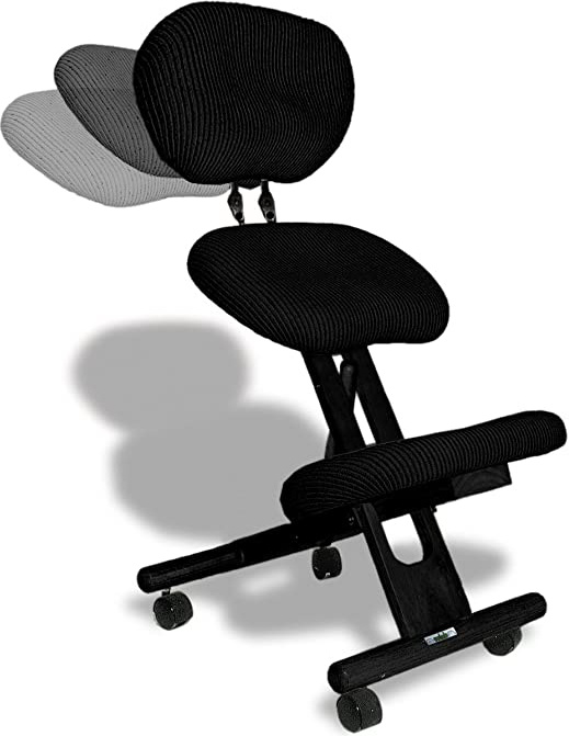 cinius Silla ergonómica Profesional Color Negro con Respaldo