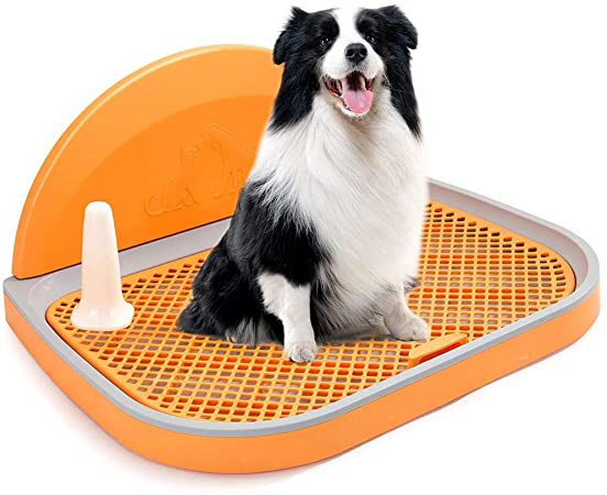 Hmpet Inodoro para Perros Bandeja