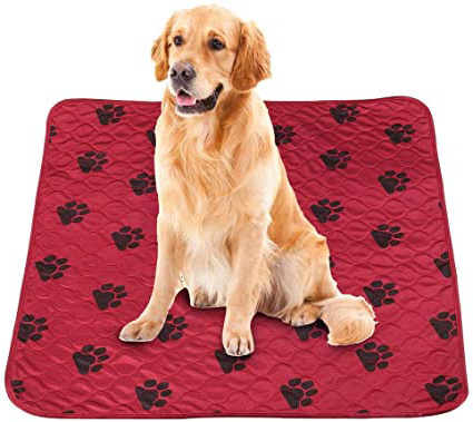 Smandy Almohadillas para Perros, Estera