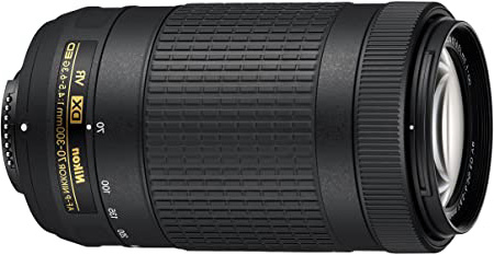 Nikon Nikkor AF-P DX Objetivo