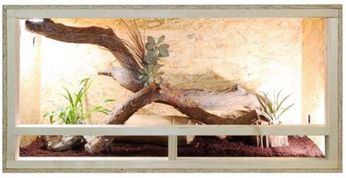 Terrario: madera Terrario para Reptiles