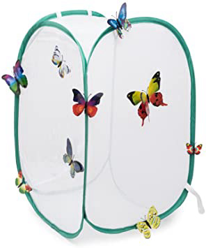 Hyindoor Jaula de Mariposa Incectos