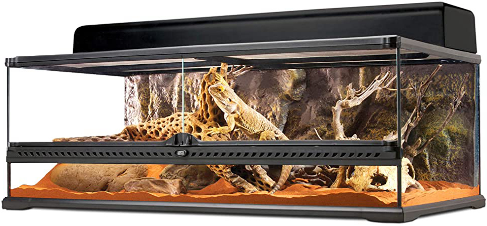 EXO TERRA Exoterra Terrario Grande Low de