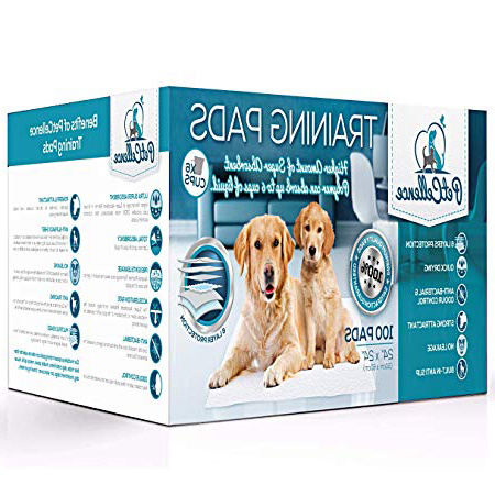 PetCellence Empapadores para Perros - Paquete de 100 Almohadillas Toallitas de Entrenamiento para Mascotas, Alfombrilla para Comedero y Bandeja de Adiestramiento para Cachorros - Grande 60 cm x 60 cm