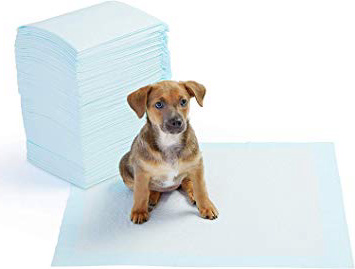 AmazonBasics - Toallitas de entrenamiento para mascotas (tamaño regular, 100 unidades)