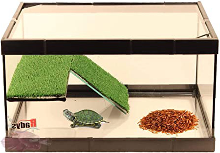 BETTASHOP.ES TORTUGUERA Cristal para Tortugas