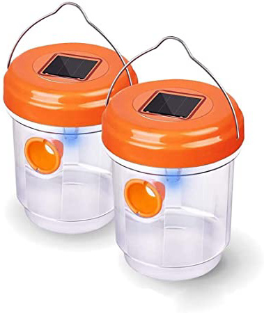 2 trampas para avispas con