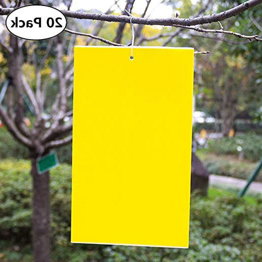 Garsumiss 20 Paquete Trampas de Insectos de Doble Cara Atrapa Insectos para Moscas,Insectos,Piojos,Atrapa,PVC(15x20CM)