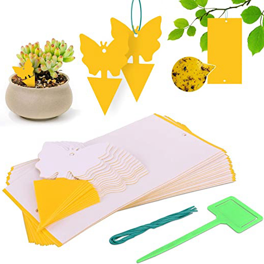Rajvia 30 Pcs Atrapa Moscas, Trampa Mosquitos Trampas pegajosa Amarillo de Doble Cara para Moscas, pulgones, mineros de Hojas, Polillas, Antimoscas, Proteger Plantas Invernadero Huerto Jardin