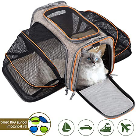 Movepeak - Transportín plegable para perros, gatos y cachorros aprobado por las aerolíneas - Incluye espacio para los artículos de tu mascota