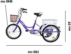







Riscko Triciclo para Adultos con Dos cestas






