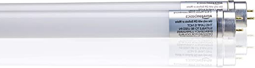AmazonBasics Professional - Tubo LED T8 600 mm, 800 lúmenes, 8 W (equivalente a 18 W), blanco frío, 6500 K, G13 - juego de 2
