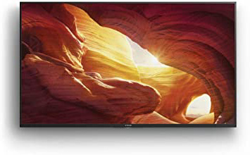 Sony KD-49XH8596 - Televisor 49"