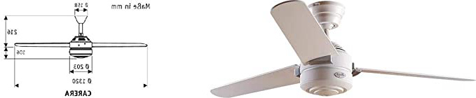 Ventilador de techo Hunter Carera