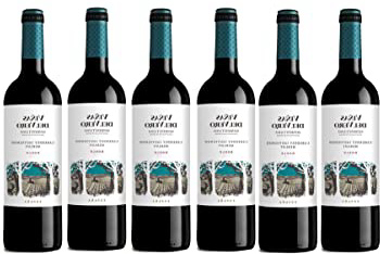 Viñas Del Vero Tinto Cabernet-Merlot - Vino D.O. Somontano - 6 botellas x botellas de 750 ml - Total: 4500 ml