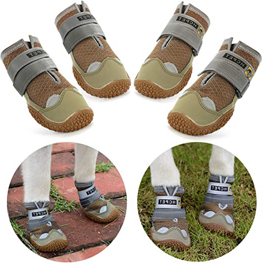 Нсрet Zapatos Perro, 4 Pcs