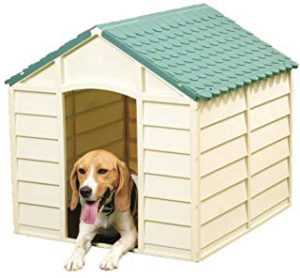 Las 10 mejores casetas para perros y cómo comprar
