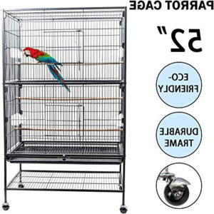 Las 10 mejores jaulas para pájaros para profesionales
