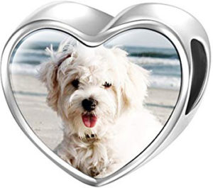 Las 10 mejores joyas para perros que puedes conseguir