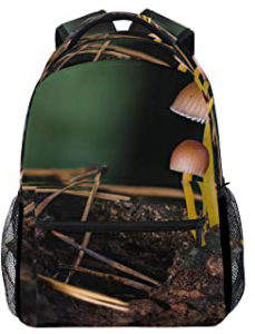 Las 10 mejores cestas mochilas recolectar setas que puedes conseguir online - Noviembre 2020