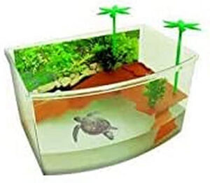 Las 10 mejores tortugueras para salir de dudas