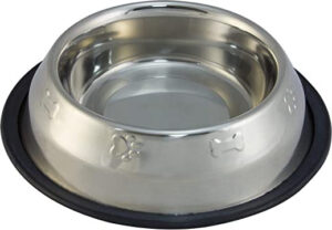 Los 10 mejores comederos para perros para comprar ya