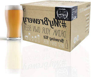 Los 10 mejores kits de cerveza artesanal para hacer la mejor compra