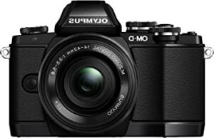 Las 10 mejores camaras evil olympus para profesionales