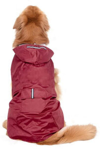 Los 10 mejores chubasqueros para perros para comprar online
