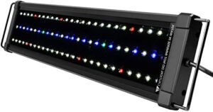 Las 10 mejores luces para acuarios y todas sus características